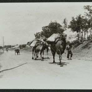 Útban Palichuang felé, málhás tevék és egy riska az úton