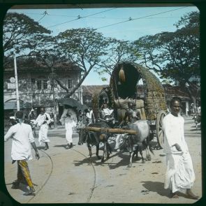 Colomboi utcai jelenet
