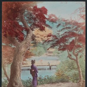 Oi, őszi kertrészlet