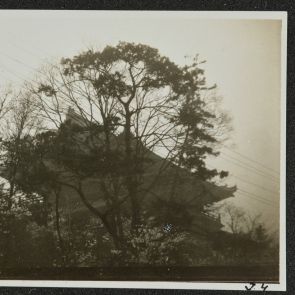 Chion-in, among blossoming cherries, plum trees and pines