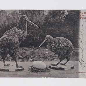 Ferenc Hopp's postcard to Gyula Petrich from Auckland
