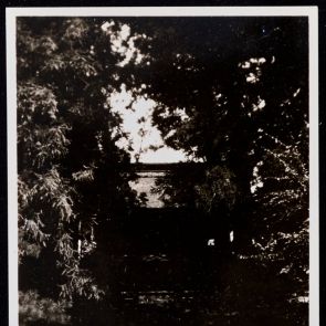 Épület árnyas fák mögött. Engakudzsi-kolostor