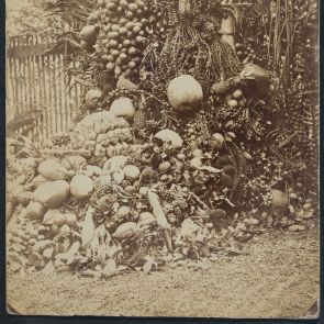 Fruits from Java, after 1880