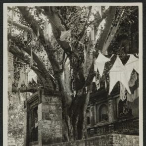 A Bódhifa Bódh-Gajánál (Bodh Gaya)