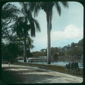 The sacred lake in Kandy
