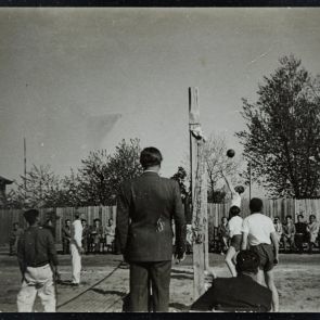 Életkép: Röplabda meccs