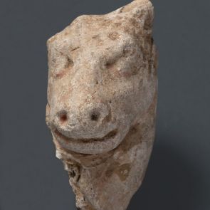 Head of a horse. Fragment.