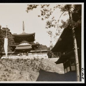 At the Jingoji Temple, Kyoto