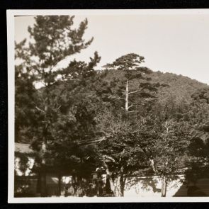 View from the monastery garden: wooded hillside, Jingoji Monastery, Kyoto