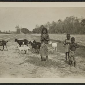 Landscape around Kasia