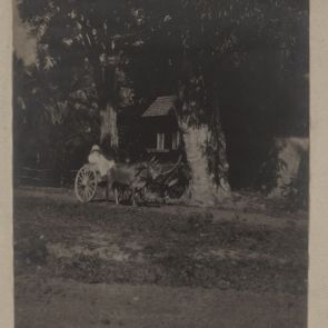 With an oxcart in Cambodia between Siem Reap and Angkor