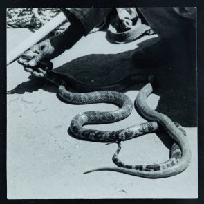 Koreai hétköznapok