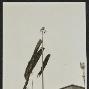 Fiúk ünnepe (Tango no Sekku) (zászlók jelzik)