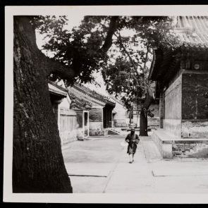 In the courtyard of a Taoist monastery