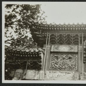 Domborműves sárkány és főnix