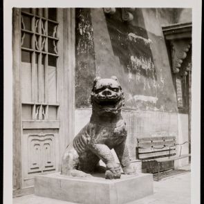 Vasoroszlán a Harangtoronynál (jobb mancsa alatt a kölyke)