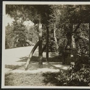 Pavilion among the pines, Momoyama
