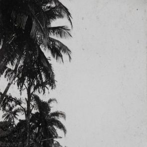 Kandy: Path around the lake