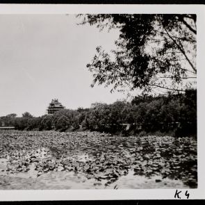 Császári palota körül a széles vizesárkot benőtte a lótusz, Peking