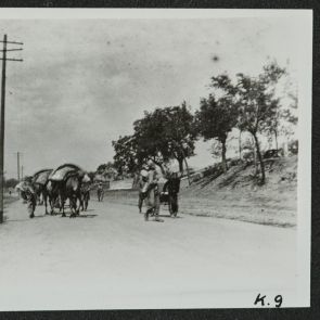 Útban Palichuang felé