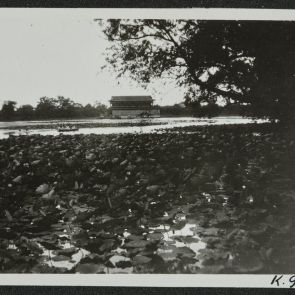 Tó, lótuszokkal, a nyílt vizen csónakázókkal, Peking