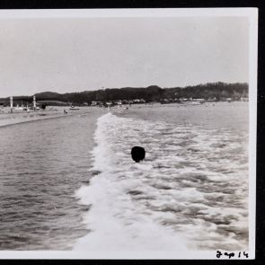 Long waves in the bay