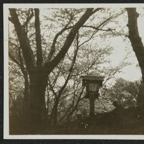 Garden detail, Maruyama Park, Kyoto, 1936