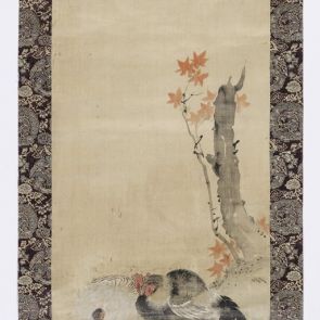 Rooster and hen under maple leaves