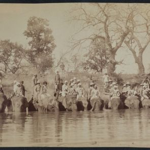 Elefántok itatása szafari közben, India, 1890