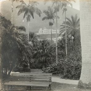 Hongkong: Public Gardens