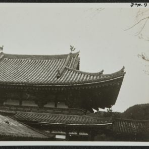 A Hoodo fedele a főnixekkel, Uji