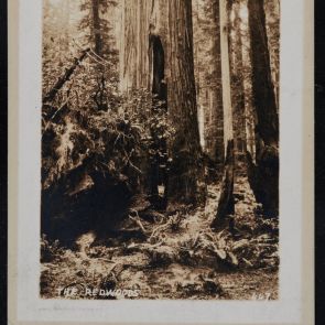 Teleki Pál fekete-fehér képeslapja Felvinczi Takács Zoltánnak San Franciscóból