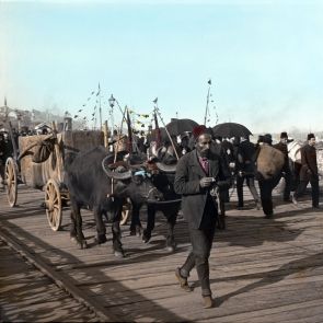 Constantinople. A buffalo and cart on Galata Bridge